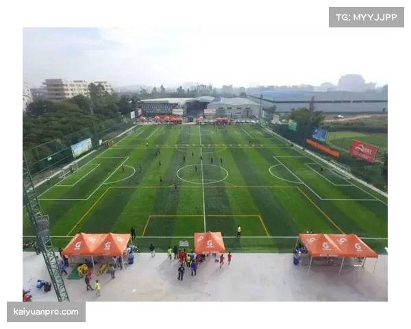 新学期青少年足球赛事推广绿色场馆认证制度